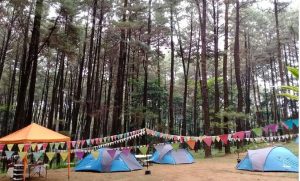tempat gathering