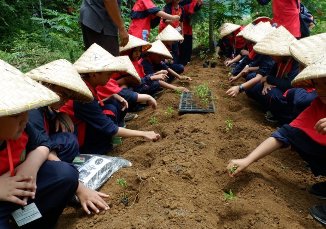 wisata edukasi wisata edukasi di sentul